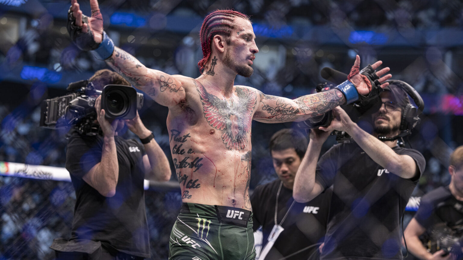 Sean O Malley Next Fight: A Rising Star’s Path Sean O Malley Next Fight