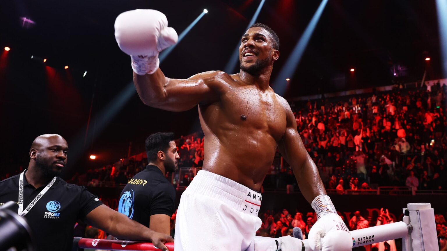 anthony joshua fight