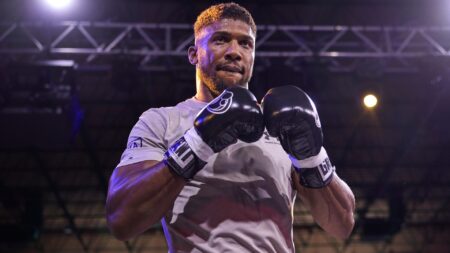 anthony joshua boxer record