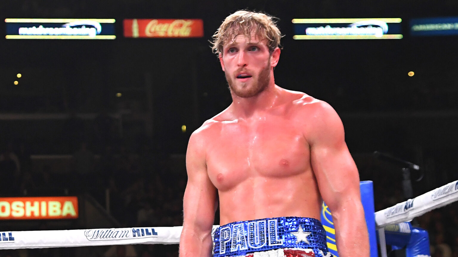 logan paul boxing record