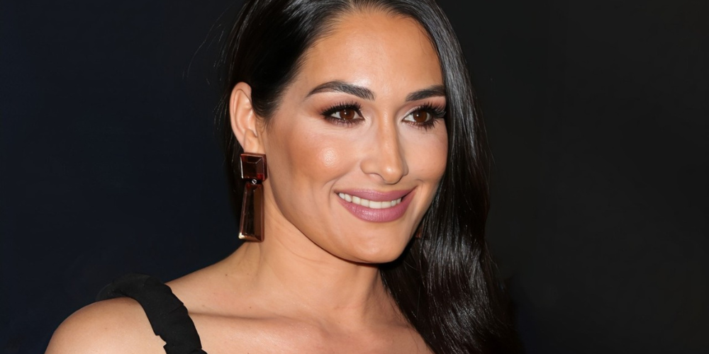 Nikki Bella's WWE Journey; Estrangement and Reconciliation