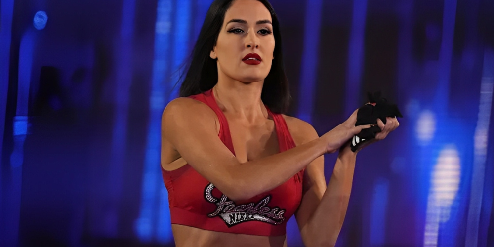 Nikki Bella's WWE Journey; Estrangement and Reconciliation