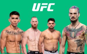 UFC 316