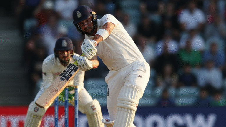 What Is Grains in Cricket Bat