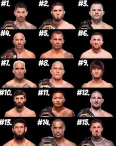 UFC heavyweight fighters ranked in the current top 15 list