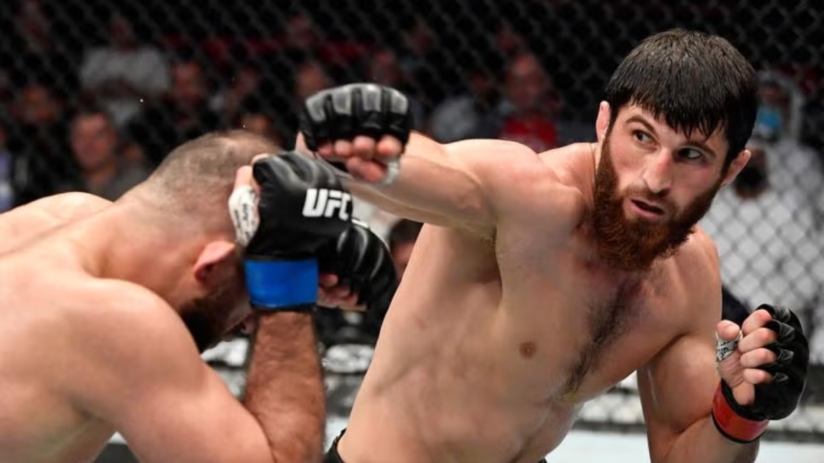 Magomed Ankalaev preparing for his UFC Abu Dhabi return fight