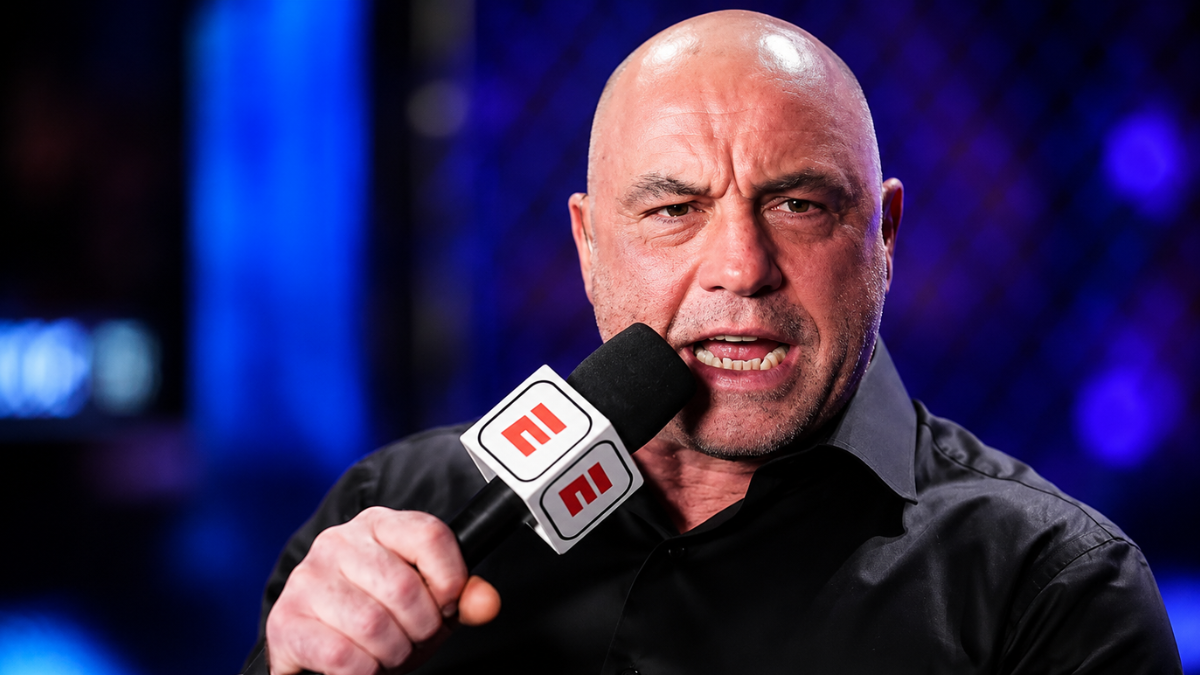 Joe Rogan UFC fighter pay