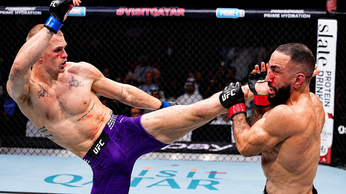 UFC 330 Predictions