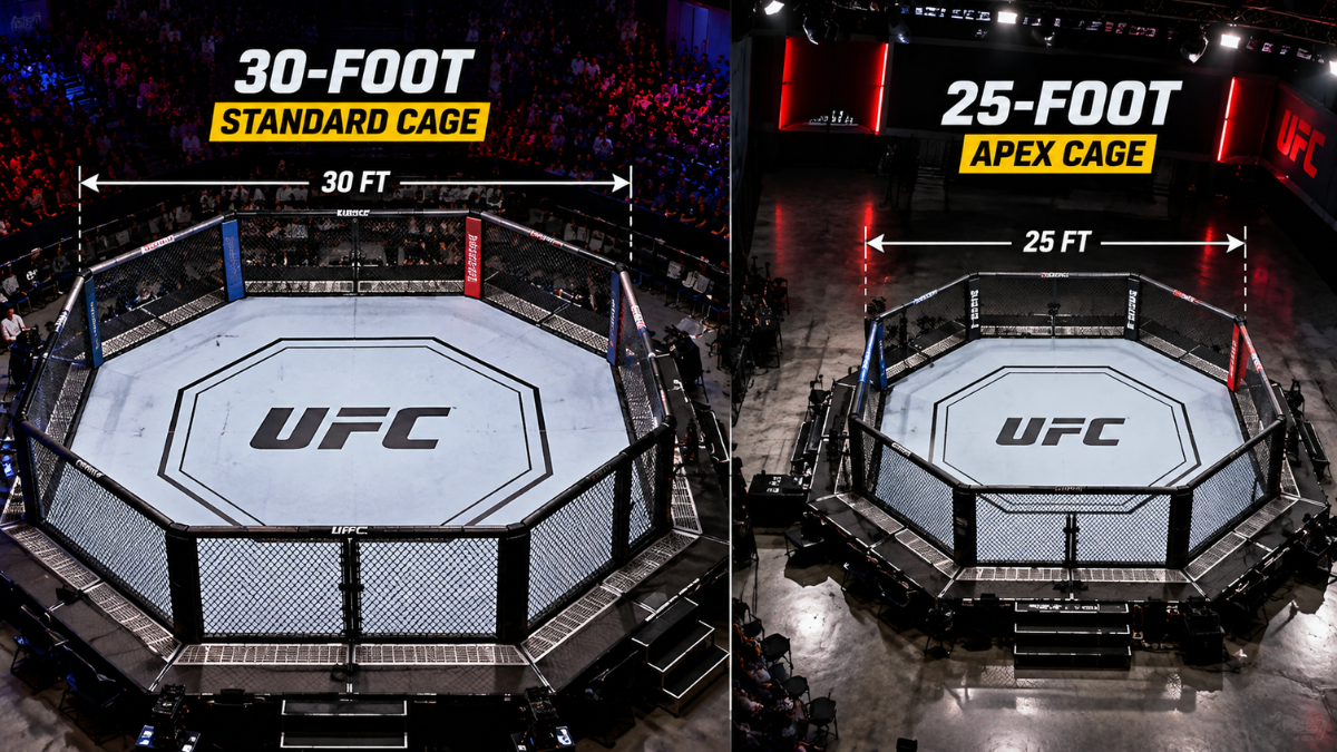 UFC octagon cage size and dimensions